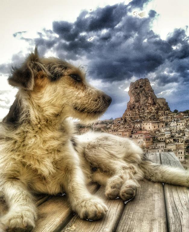 Queen'S Cave Cappadocia Ortahisar Luaran gambar